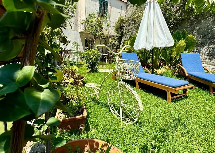 Gogas Amalfi Coast